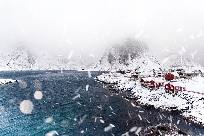 Reine, Hamnøy, Sakrisøy Photo Tour from Svolvær - Hamnøy viewpoint: the iconic view you came for