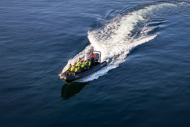 Rib adventure in the Lysefjord with boat house visit - Price and value: what you’re paying for at about $145 per person