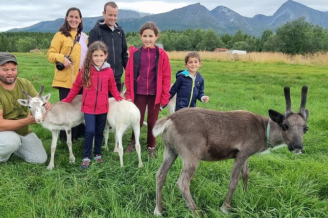 Sami Culture and Reindeer Cuddles Experience - Timing, transfers, and what 4.5 hours feels like