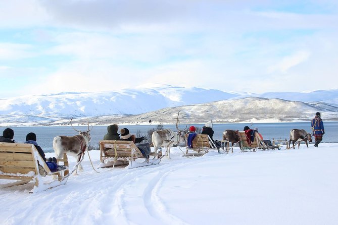 Sami Culture and Short Reindeer Sledding from Tromso - Getting There: Tromsø’s Prostneset Bus Terminal To the Sami Camp