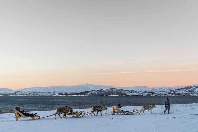 Sami Culture and Short Reindeer Sledding from Tromso - Sami Stories and Joik: What You Hear in the Firelight