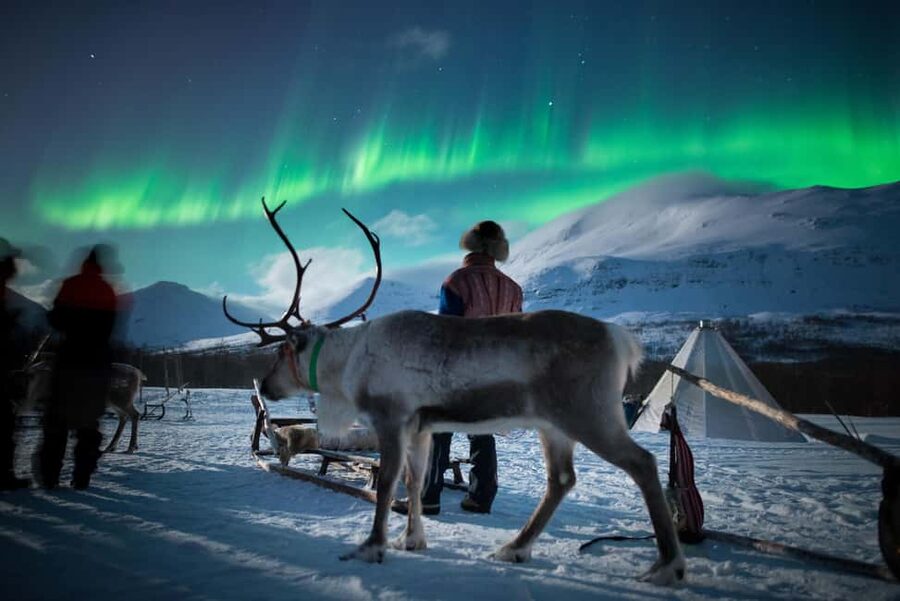 Sami Culture, Northern Lights & Reindeer Visit at Camp Tamok - Key things to know before you go