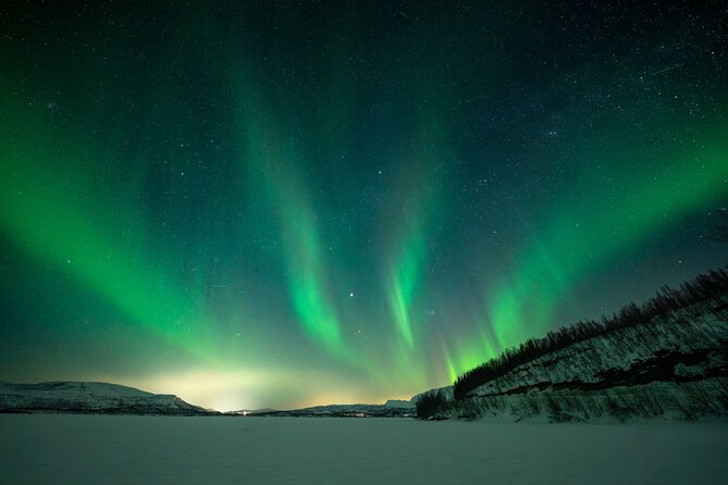 Sami Reindeer Camp Visit and Aurora Wonder Night - Key highlights worth your attention