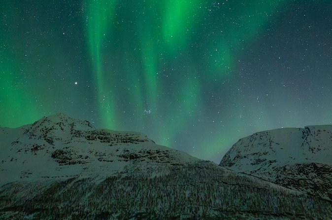 Sami Reindeer Camp Visit and Aurora Wonder Night - Who This Tour Suits Best, and Who Might Want a Different Plan
