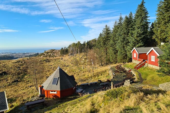 Scenic tour to Steinsfjellet, locals at Kringsjå & Rising Tide - Key highlights
