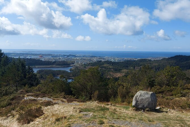 Scenic tour to Steinsfjellet, locals at Kringsjå & Rising Tide - Group size and pacing: why 15 people feels right