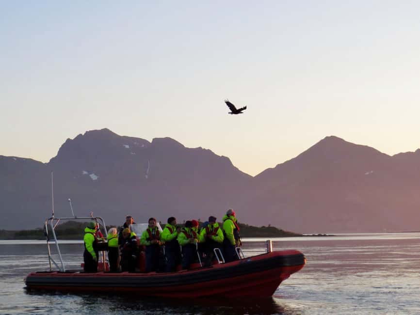 Sea Eagle/Nature Safari - The RIB part: speed, cold air, and why gear matters
