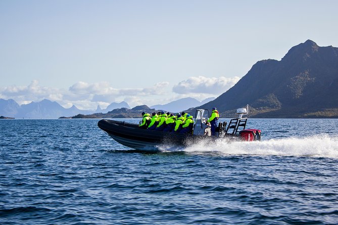 Sea Eagle Safari from Svolvær to Trollfjorden - RIB safari in Svolvær: gear, meeting point, and how it actually runs