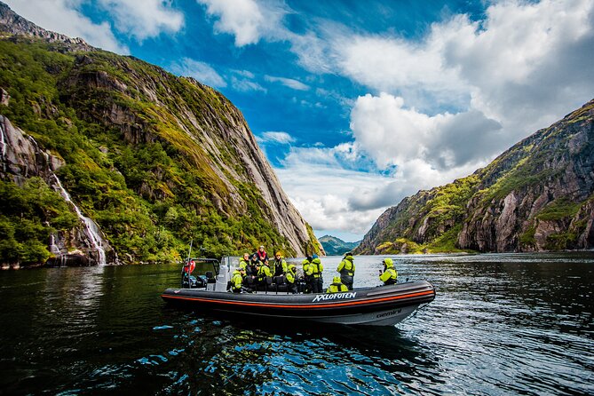 Sea Eagle Safari from Svolvær to Trollfjorden - Speed, comfort, and safety on a 2-hour RIB ride