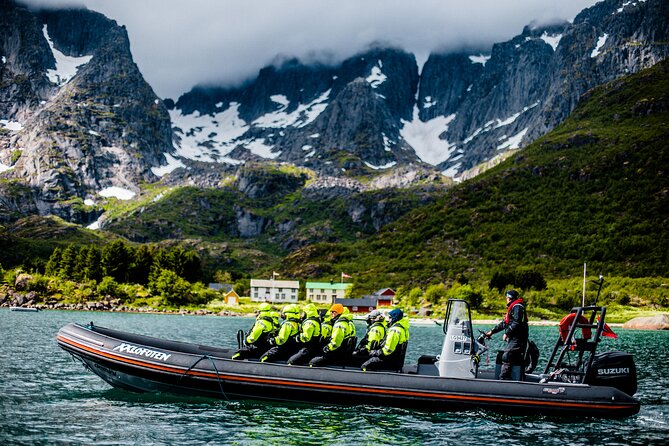Sea Eagle Safari from Svolvær to Trollfjorden - Weather reality: when rain and wind turn the experience
