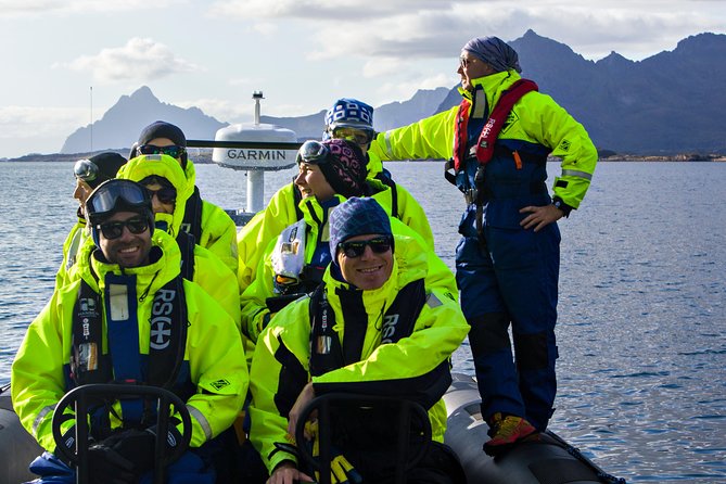 Sea Eagle Safari from Svolvær to Trollfjorden - Price and value: is $156.56 fair for a cold-water RIB safari?