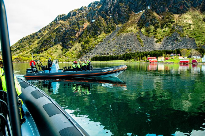 Sea Eagle Safari from Svolvær to Trollfjorden - Who this is perfect for, and who should reconsider
