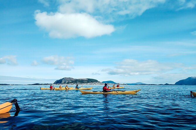 Sea Kayaking In Ålesund - Key things to know before you paddle in Ålesund