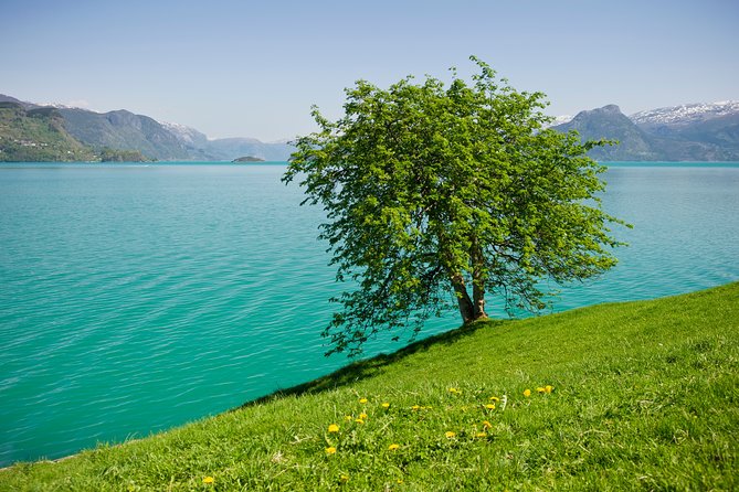 Self-Guided 22-Hour Round Trip From Oslo To Sognefjord With Flåm Railway - Flåm stop: short free time, so choose your priority