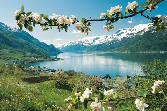 Self-Guided 22-Hour Round Trip From Oslo To Sognefjord With Flåm Railway - Voss to Bergen or onward: the final rail push