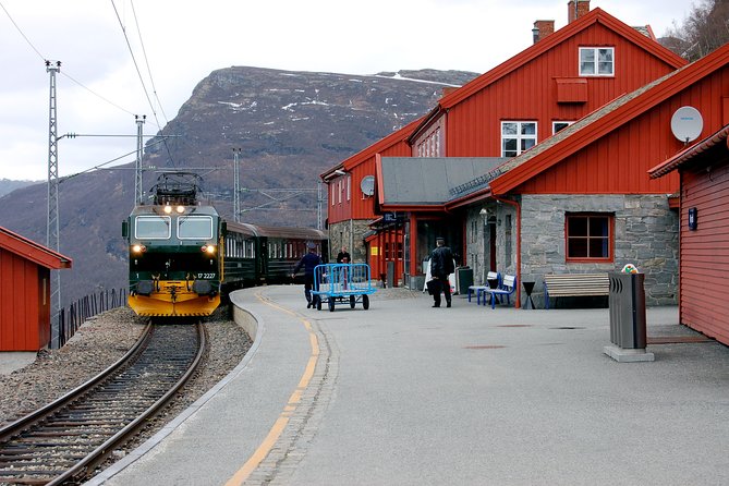 Self-Guided Bergen to Oslo Daytrip With Flamsbana & Fjordcruise - A 12 to 16 hour Bergen-to-Oslo route that feels like Norway, not transit