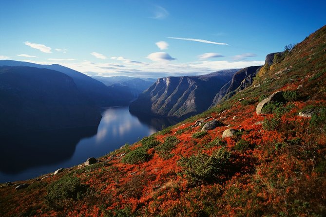 Self-Guided Full Day Round-trip From Bergen - Bergen Station at 8:00 am: Train to Voss and the first big payoff