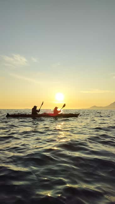Senja: Guided Small Group Evening Kayaking Tour - Key highlights to know before you go