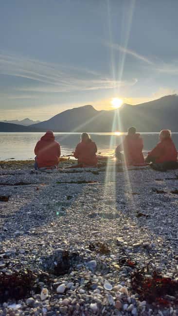 Senja: Guided Small Group Evening Kayaking Tour - The secluded beach break, plus Wild Animals kombucha tasting