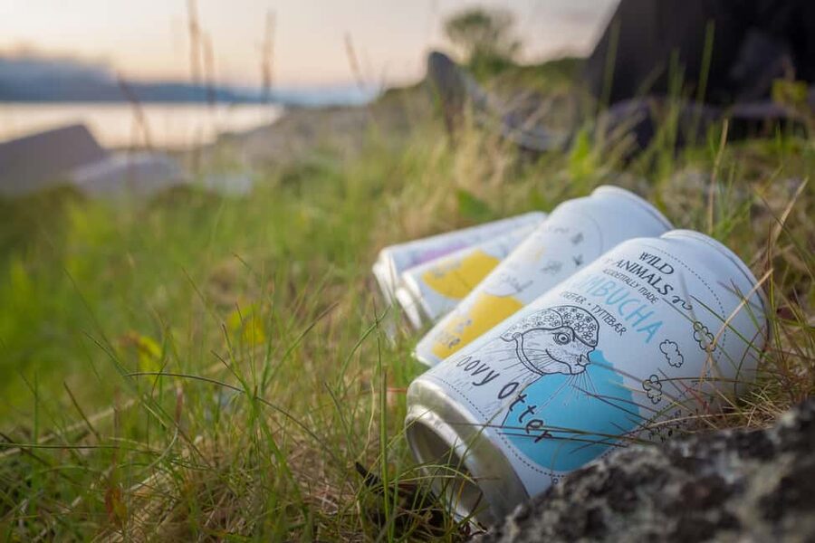 Senja: Guided Small Group Evening Kayaking Tour - What to bring so the evening stays comfy