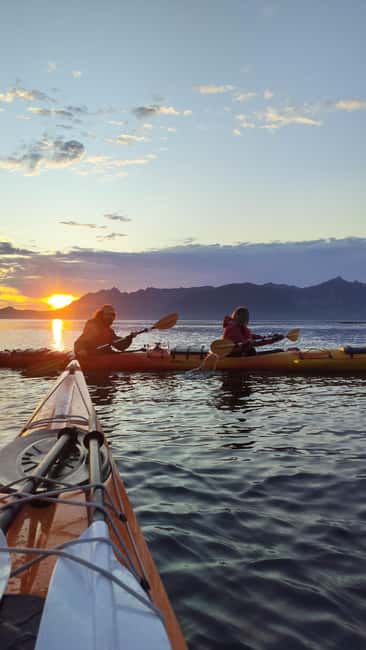 Senja: Guided Small Group Evening Kayaking Tour - Meeting at Senja Roasters, then driving to the best water