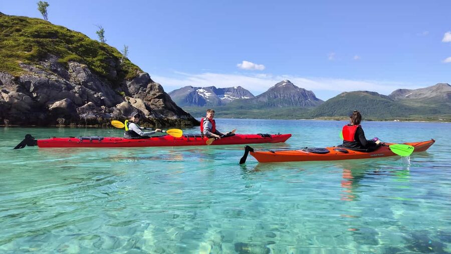 Senja: Guidet Fjord Kayaking in Ånderdalen Nationalpark - Wildlife spotting from crystal-clear water