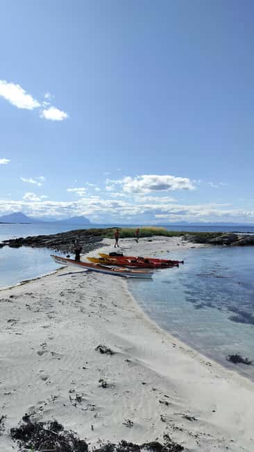 Senja: Guidet Fjord Kayaking in Ånderdalen Nationalpark - The secluded beach break: picnic lunch and specialty coffee