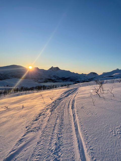 Senja Island: Winter Light Package Deal, 1 Day and 1 Night - Key highlights you will remember