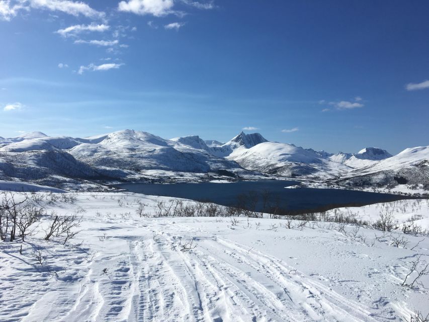 Senja Island: Winter Light Package Deal, 1 Day and 1 Night - Small group size, pacing, and who will enjoy this best