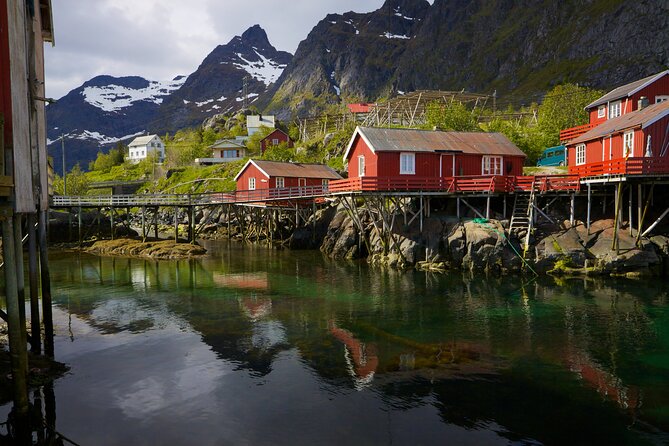 Shore Excursion Full day Private Tour in Lofoten - Coffee and tea included: small comfort, big value in cold weather