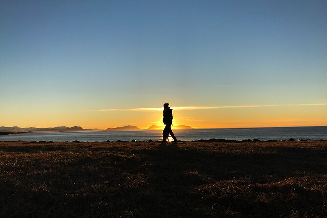 Shore Excursions Ålesund: Highlights Ålesund & Islands - Price and Value: Is $140.24 Worth It?