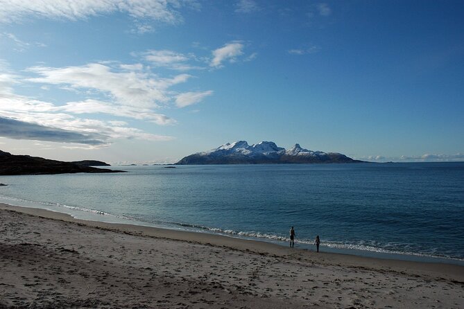 Silent Coastal Cruise to Kjerringøy - The Kjerringøy Trading Post stop: what you can actually do with 1 hour