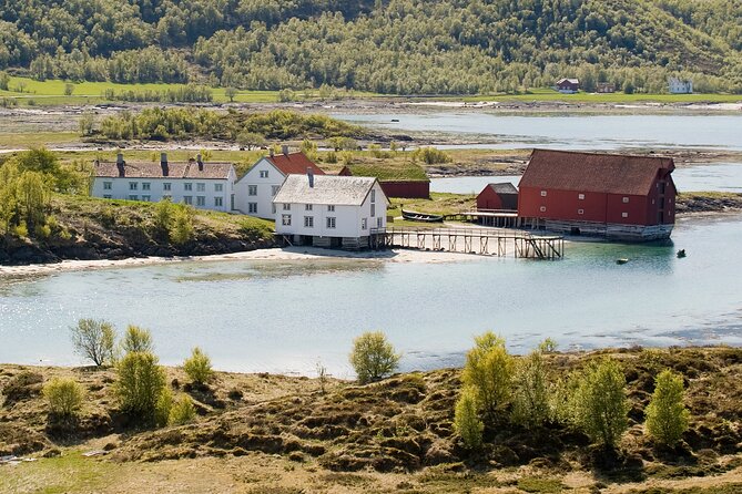 Silent Coastal Cruise to Kjerringøy - Price and value: $133.05 for a 4-hour mix of fjords and a ticketed museum
