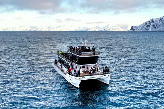 Silent Whale Watching by Hybrid-Electric Boat from Tromsø - Silent, Hybrid-Electric Whale Watching in Tromsø: What “Silent” Really Means