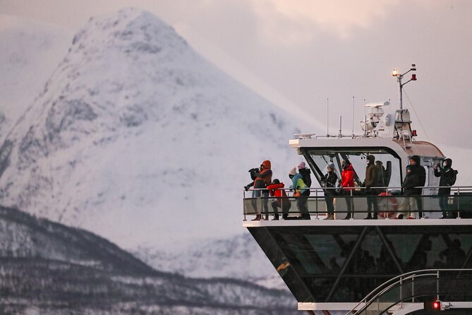 Silent Whale Watching by Hybrid-Electric Boat from Tromsø - Skjervøy: Where Herring Feeds the Whales