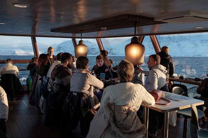 Silent Whale Watching by Hybrid-Electric Boat from Tromsø - Back Toward Tromsø: Arctic Cathedral Views and Possible Night Sky Moments