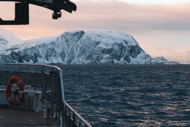 Silent Whale Watching on Hybrid-Electric Boat with Scenic Bustrip - Skjervøy switch stop: 30 minutes to reset and keep the day moving