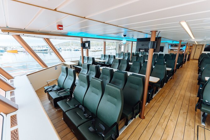 Silent Whale Watching on Hybrid-Electric Boat with Scenic Bustrip - Crew, narration, and the small extras that can change everything