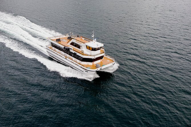 Silent Whale Watching on Hybrid-Electric Boat with Scenic Bustrip - From Samuel Arnesens gate 5 to the boat-to-bus loop