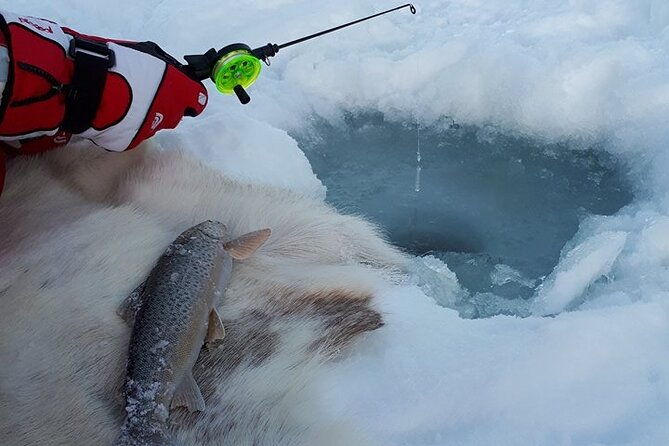 Sjursnes Arctic Ice Fishing Adventure from Tromso - Sjursnes Arctic Ice Fishing Adventure in Tromsø, the drive is part of the show