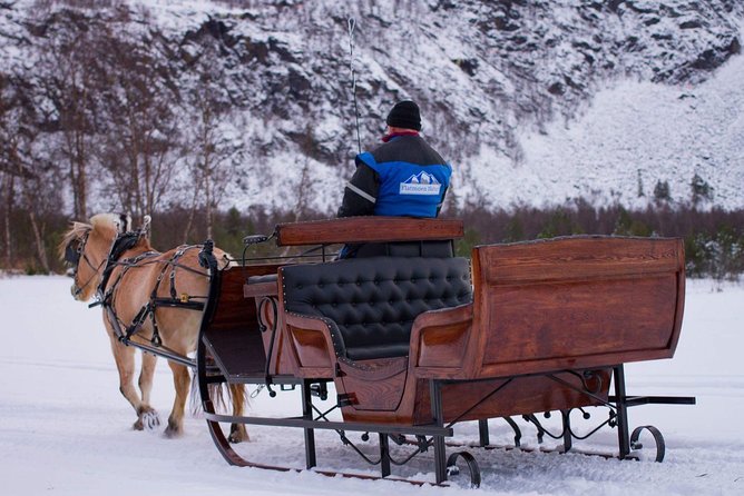 Sleigh or wagon ride in the arctic Country side - Key Highlights You Should Know