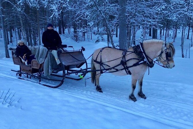 Sleigh or wagon ride in the arctic Country side - Sleigh or wagon ride in the Alta River valley: what the route feels like
