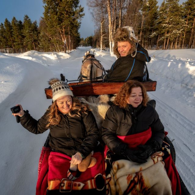 sleigh ride and dining experience - Key Highlights You Should Know