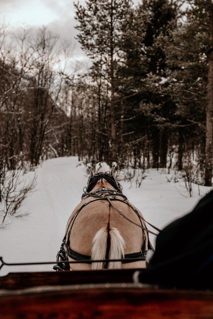 sleigh ride and dining experience - Alta Pickup and the Farm-to-Forest Start