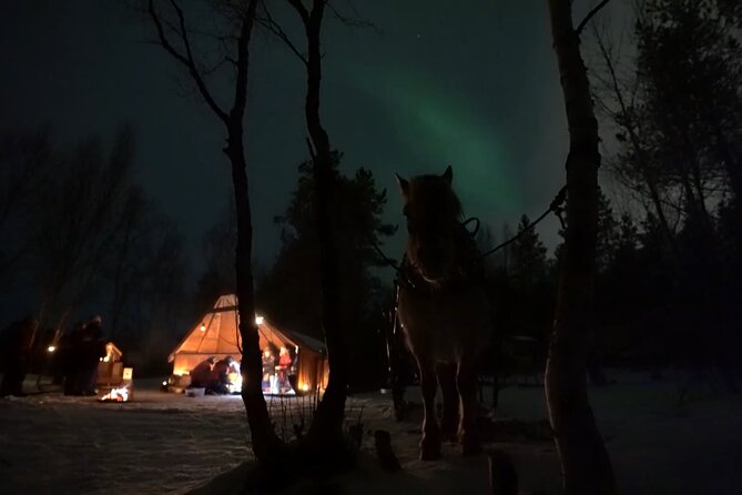 Sleigh ride Under The Northern Lights - Alta’s 8:00 pm Start Time, and Why It Matters for Aurora Odds