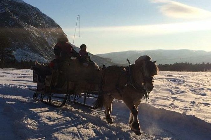 Sleigh ride Under The Northern Lights - Weather Risk, and What to Do So You Still Win the Night
