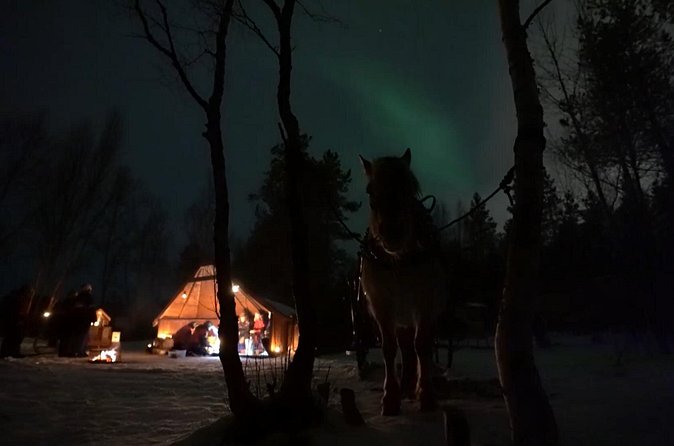 Sleigh ride Under The Northern Lights - Who This Northern Lights Sleigh Ride Is Best For