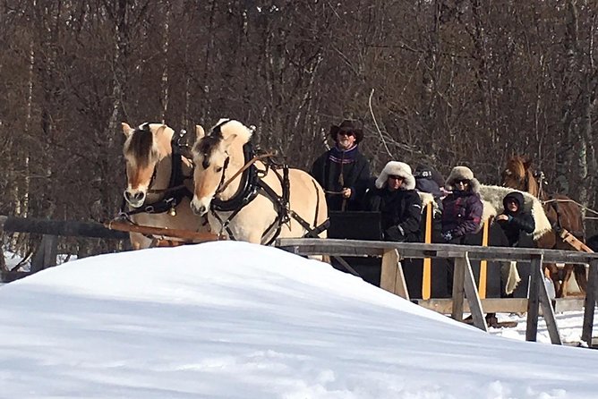 Sleigh Ride w/ snacks - Experience Arctic Farm Life - The sleigh ride itself: what 30 to 40 minutes feels like