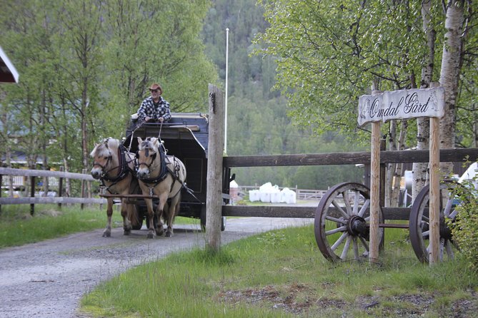 Sleigh Ride w/ snacks - Experience Arctic Farm Life - Back at the farm: how the lavvo snack stop works