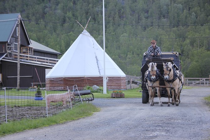 Sleigh Ride w/ snacks - Experience Arctic Farm Life - Time slots and pacing: choose what fits your day